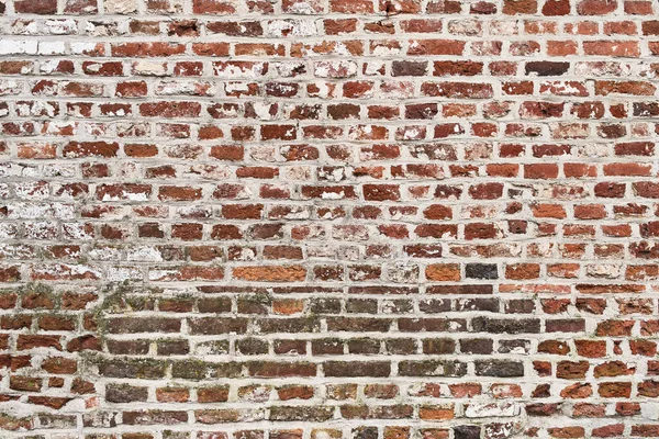 Verfall Ziegelwand Oberfläche Hintergrund — Stockfoto