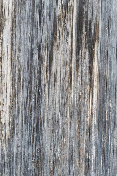 Perfekte Holz Wand Textur Hintergrund — Stockfoto