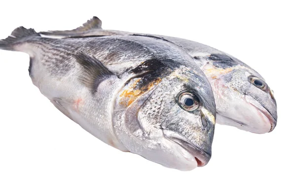 Dos Peces Crudos Sobre Fondo Blanco Aislado — Foto de Stock