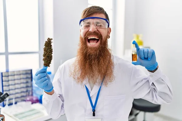 Homme Rousse Longue Barbe Travaillant Laboratoire Scientifique Tenant Herbe Huile — Photo
