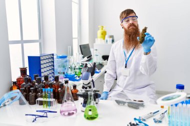 Laboratuvarda marihuana otu taşıyan bilim adamı üniforması giyen genç bir kızıl.