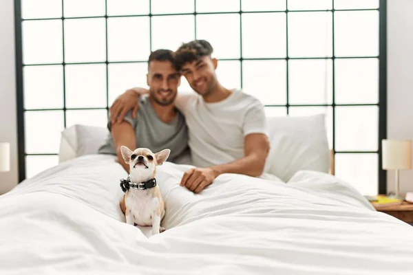 Två Hispanic Män Par Kramar Varandra Sitter Sängen Med Chihuahua — Stockfoto