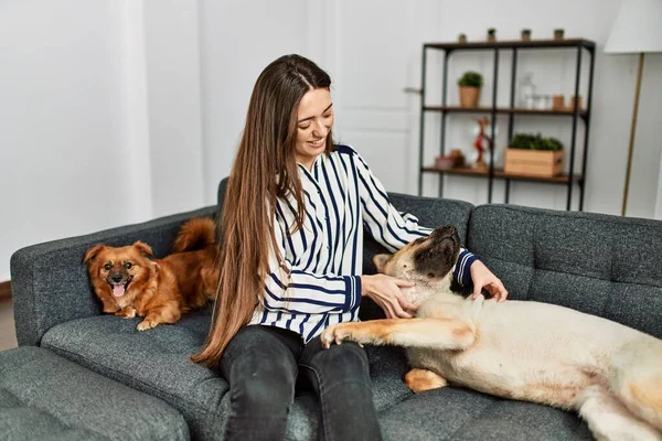 Jonge Latino Vrouw Glimlachen Zelfverzekerd Zitten Bank Met Honden Thuis — Stockfoto