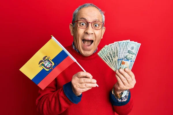 Hombre Mayor Guapo Con Pelo Gris Sosteniendo Bandera Ecuador Dólares —  Fotos de Stock