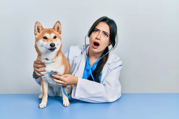 Bela Veterinária Hispânica Mulher Verificando Saúde Cão Irritado Louco Gritando — Fotografia de Stock