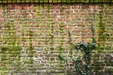  Çürümüş tuğla duvar yüzey arkaplanı 