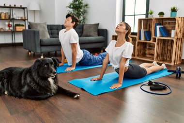Kafkasyalı genç çift evde köpekle yoga eğitimine konsantre oluyor..