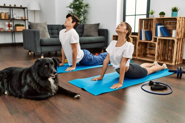 Kafkasyalı Genç Çift Evde Köpekle Yoga Eğitimine Konsantre Oluyor — Stok fotoğraf