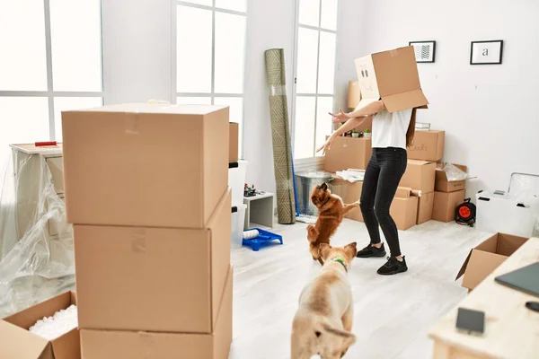 Jonge Spaanse Vrouw Draagt Grappig Karton Hoofd Spelen Met Honden — Stockfoto