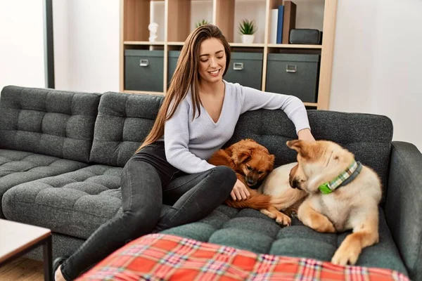 Jovem Hispânica Sorrindo Confiante Sentado Sofá Com Cães Casa — Fotografia de Stock