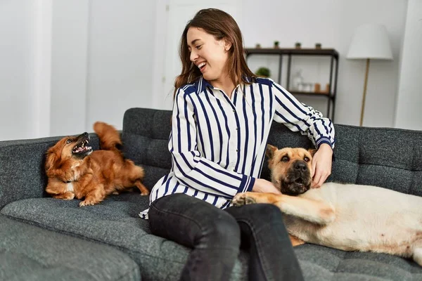 Jovem Hispânica Sorrindo Confiante Sentado Sofá Com Cães Casa — Fotografia de Stock