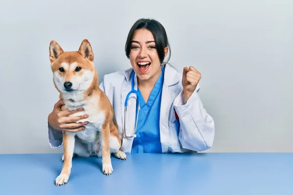 Hermosa Mujer Veterinaria Hispana Chequeando Salud Del Perro Gritando Orgullosa —  Fotos de Stock