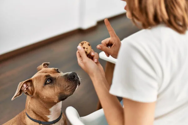 Joven Caucásico Mujer Enseñando Perro Prohibición Comer Galletas Casa — Foto de Stock
