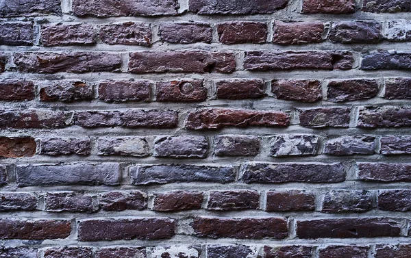 Décoration Mur Briques Fond Surface — Photo