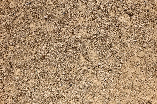 Closeup Arid Ground Texture — Φωτογραφία Αρχείου