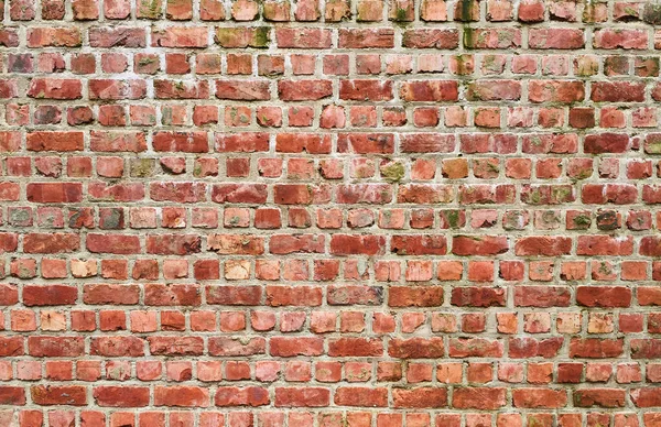 Decadência Parede Tijolo Superfície Fundo — Fotografia de Stock