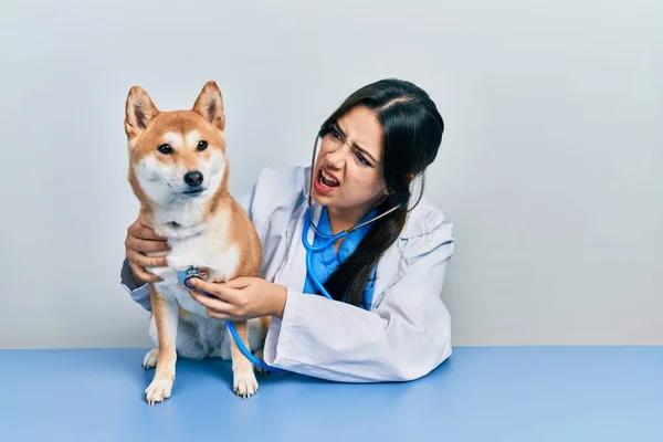 Красивая Латиноамериканка Ветеринар Проверяющая Здоровье Собаки Злая Безумная Кричащая Расстроенная — стоковое фото