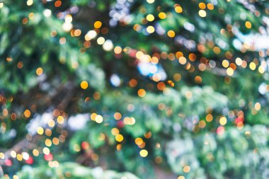  Bulanık ışık resmi Sokakta yılbaşı ağacı