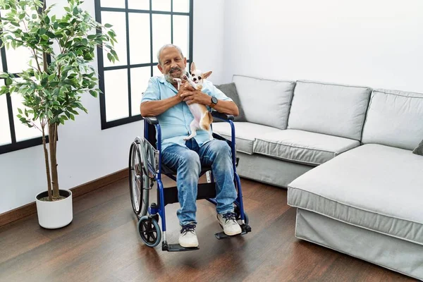 家で車椅子に座っているChihuahuaを保持シニア白髪の男 — ストック写真