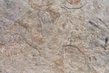  Güzel grunge taşı doku duvarı 