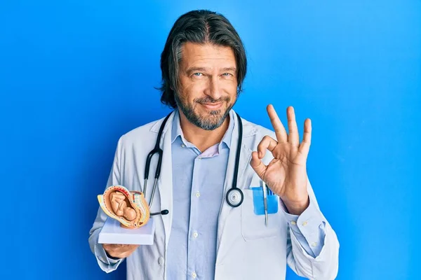 Middle Age Handsome Gynecologist Man Holding Anatomical Model Female Uterus — Stock Photo, Image