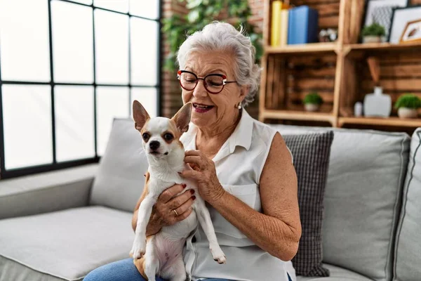 Senior Grey Haired Woman Smiling Confident Holding Chiuahua Sitting Sofa — Stock Photo, Image