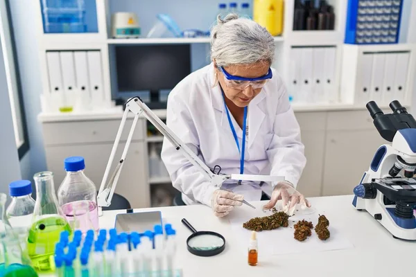 Žena Středního Věku Nosí Vědec Uniformu Analyzující Marihuanu Laboratoři — Stock fotografie