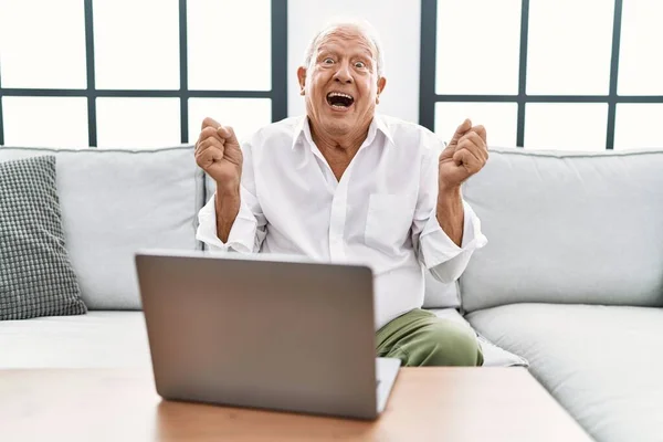 Homem Sênior Usando Laptop Casa Sentado Sofá Comemorando Surpreso Surpreso — Fotografia de Stock
