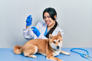 Güzel İspanyol veteriner yavru köpeğe aşı yapıyor. Dilini komik bir ifadeyle çıkarıyor.. 