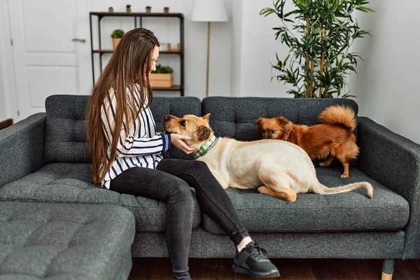 Jonge Latino Vrouw Glimlachen Zelfverzekerd Zitten Bank Met Honden Thuis — Stockfoto