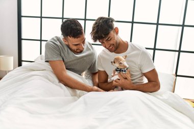 İki İspanyol erkek yatak odasında Chihuahua ile yatakta oturuyor.