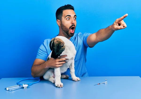 Bello Ispanico Veterinario Uomo Con Barba Controllo Della Salute Del — Foto Stock