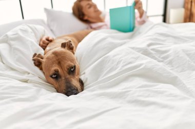 Beyaz kadın kitap okuyor. Yatak odasında köpekle yatakta yatıyor.