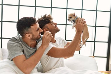 İki İspanyol erkek yatak odasında Chihuahua ile yatakta birbirlerine sarılıyorlar.