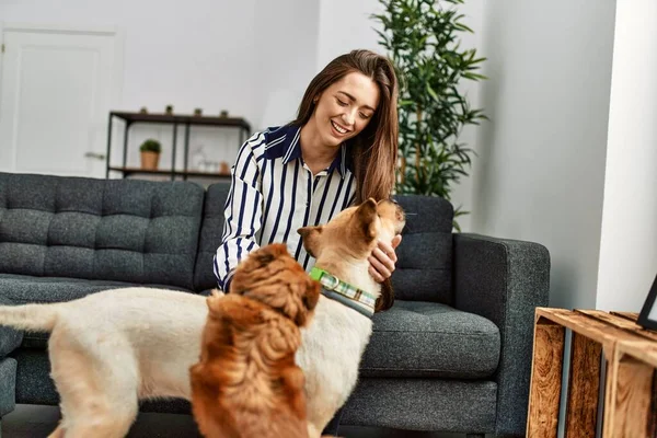 Young Hispanic Woman Smiling Confident Sitting Sofa Dogs Home — ストック写真