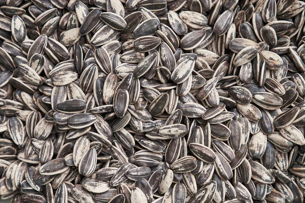 Beautiful Sunflower Seeds Image — Stock Photo, Image