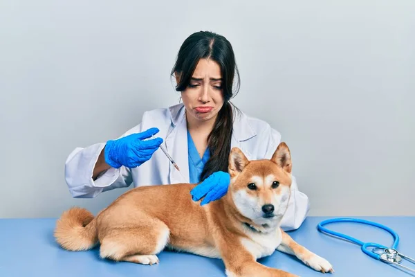Beautiful Hispanic Veterinarian Woman Putting Vaccine Puppy Dog Depressed Worry — Stock Photo, Image
