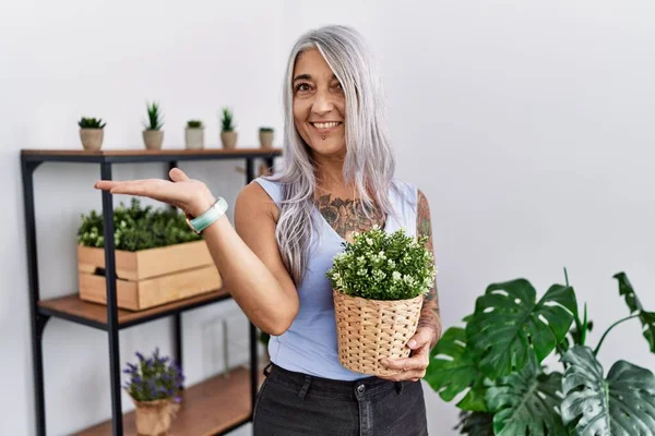 Middelbare Leeftijd Grijs Harige Vrouw Met Groene Plant Pot Thuis — Stockfoto