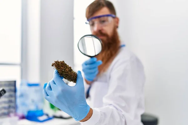 Junger Rotschopf Wissenschaftleruniform Hält Marihuana Unkraut Mit Lupe Labor — Stockfoto
