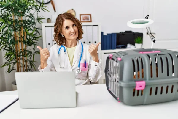 Mulher Veterinária Meia Idade Que Trabalha Sinal Sucesso Clínica Animal — Fotografia de Stock