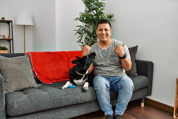 Young Latin Man Dog Sitting Sofa Home Success Sign Doing — Fotografia de Stock