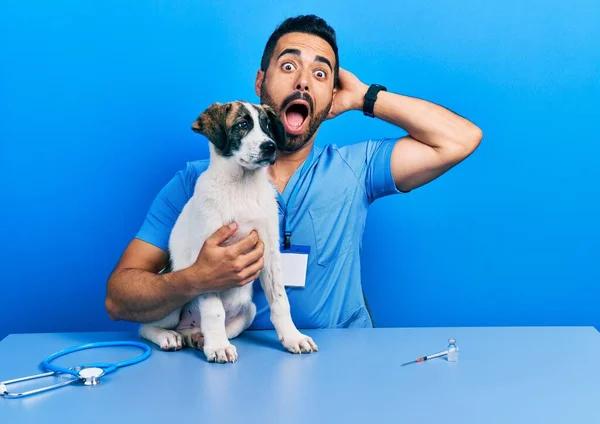 Handsome Hispanic Veterinary Man Beard Checking Dog Health Crazy Scared — стоковое фото