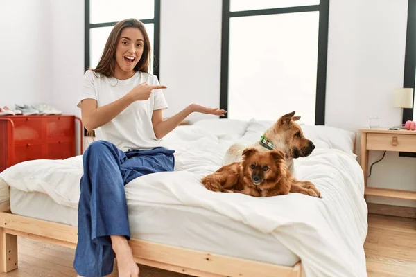 Young brunette woman sitting on the bed with two dogs amazed and smiling to the camera while presenting with hand and pointing with finger.