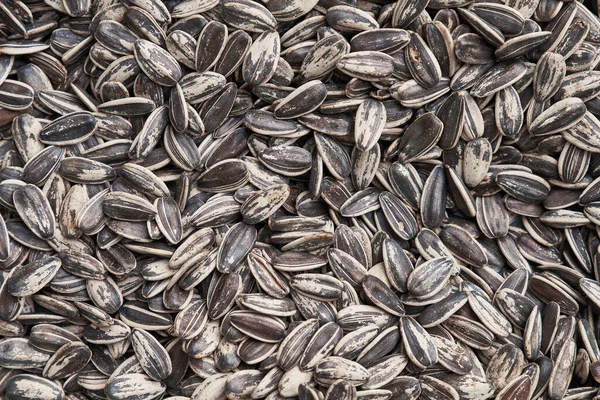 Beautiful Sunflower Seeds Image — Stock Photo, Image