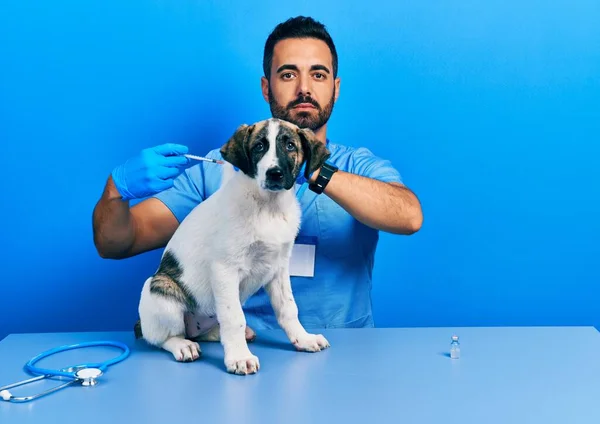 Handsome Hispanic Veterinary Man Beard Putting Vaccine Puppy Dog Relaxed — стоковое фото