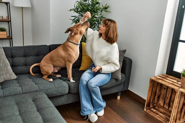 Jovem Caucasiano Mulher Alimentando Cão Sentado Sofá Casa — Fotografia de Stock