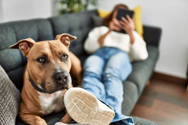 Fiatal Kaukázusi Használ Touchpad Fekvő Kanapén Kutyával Otthon — Stock Fotó