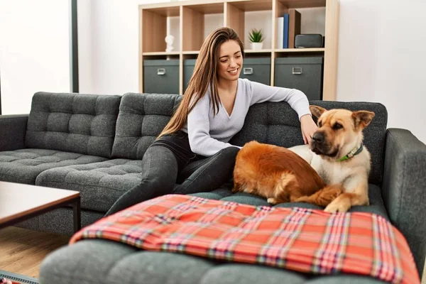 Jovem Hispânica Sorrindo Confiante Sentado Sofá Com Cães Casa — Fotografia de Stock