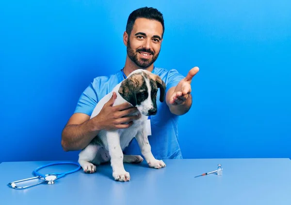 Bonito Homem Veterinário Hispânico Com Barba Verificando Saúde Cão Sorrindo — Fotografia de Stock