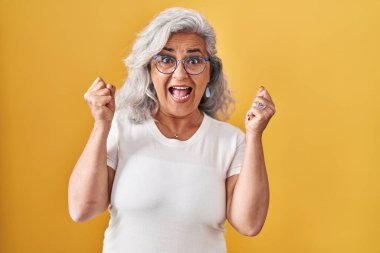 Sarı arka planda gri saçlı orta yaşlı bir kadın kollarını kaldırıp, gözlerini açarak başarısını kutluyor. Kazanan konsept. 